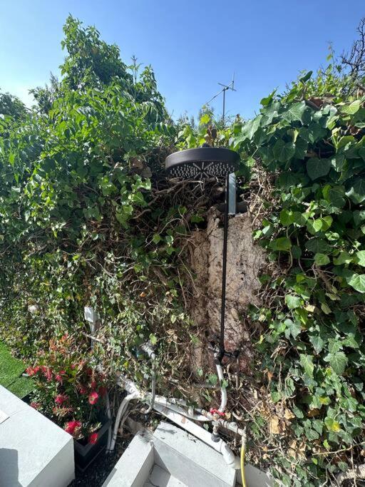 Caja De Anthea Villa Artemida  Dış mekan fotoğraf