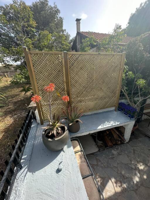 Caja De Anthea Villa Artemida  Dış mekan fotoğraf