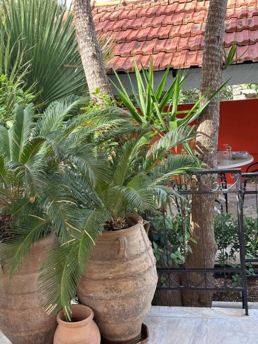 Caja De Anthea Villa Artemida  Dış mekan fotoğraf