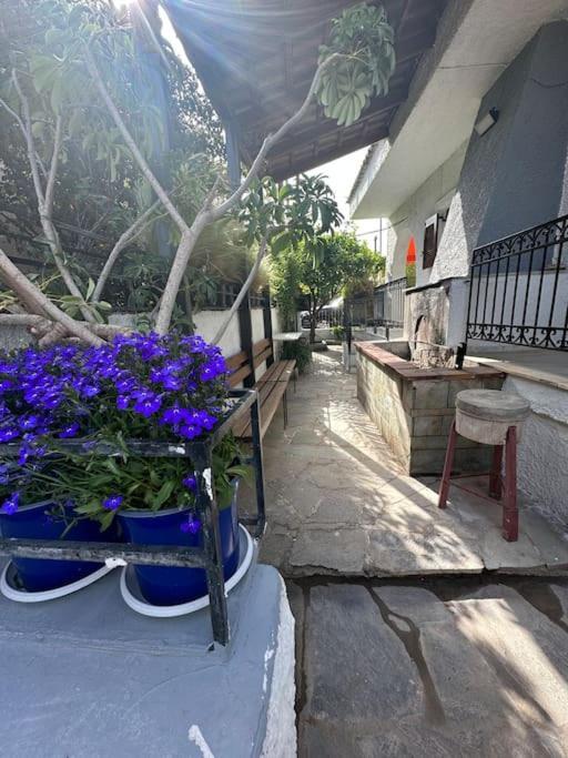 Caja De Anthea Villa Artemida  Dış mekan fotoğraf