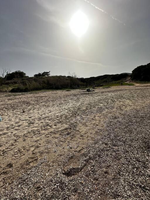 Caja De Anthea Villa Artemida  Dış mekan fotoğraf