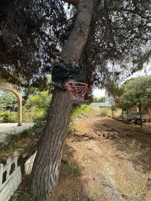 Caja De Anthea Villa Artemida  Dış mekan fotoğraf