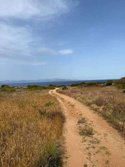 Caja De Anthea Villa Artemida  Dış mekan fotoğraf