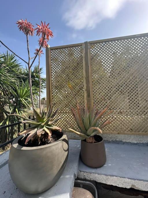 Caja De Anthea Villa Artemida  Dış mekan fotoğraf